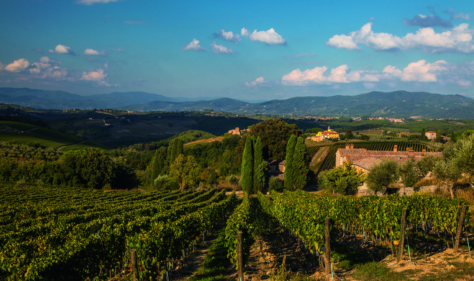 Tenuta Pèppoli