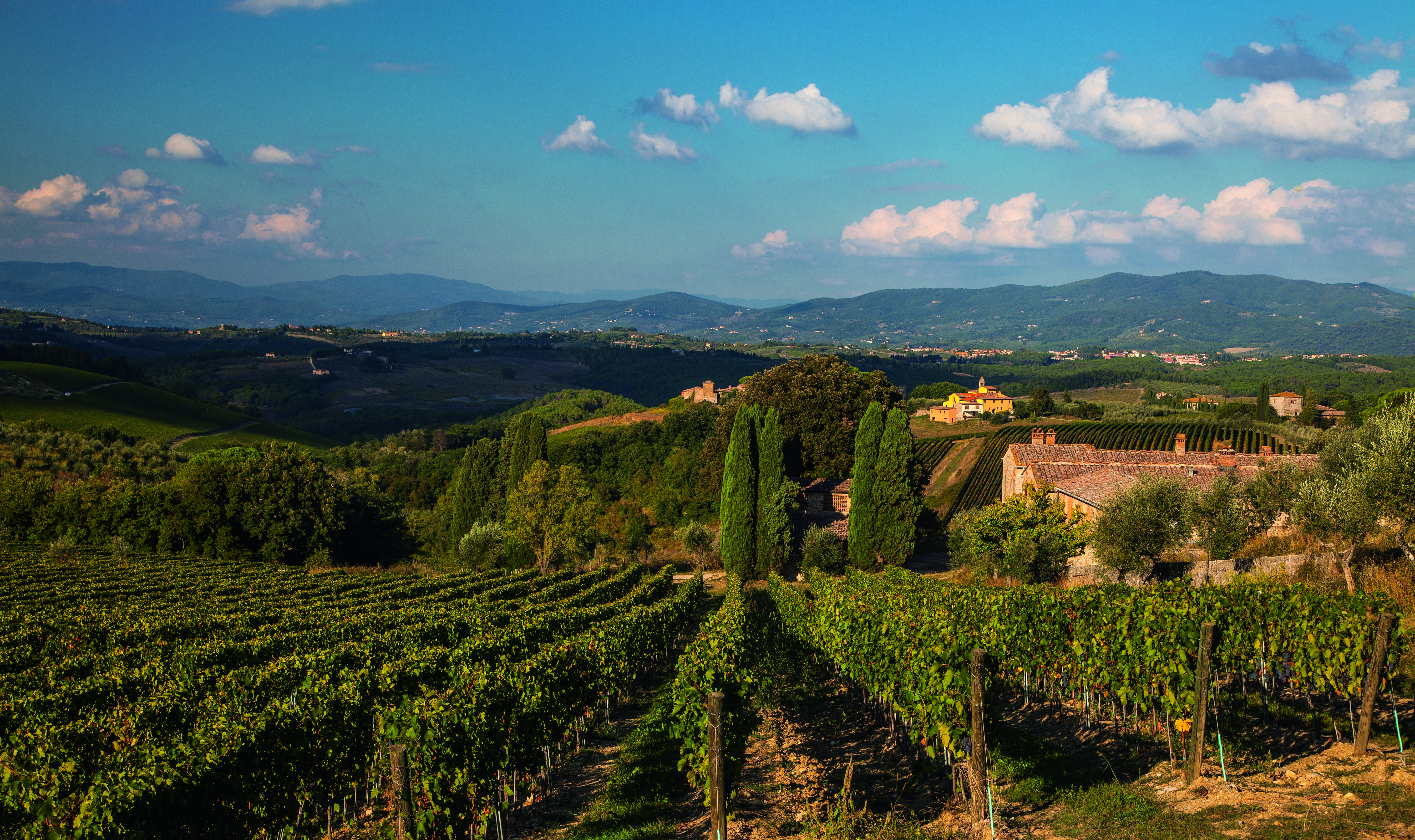 Tenuta Pèppoli Image