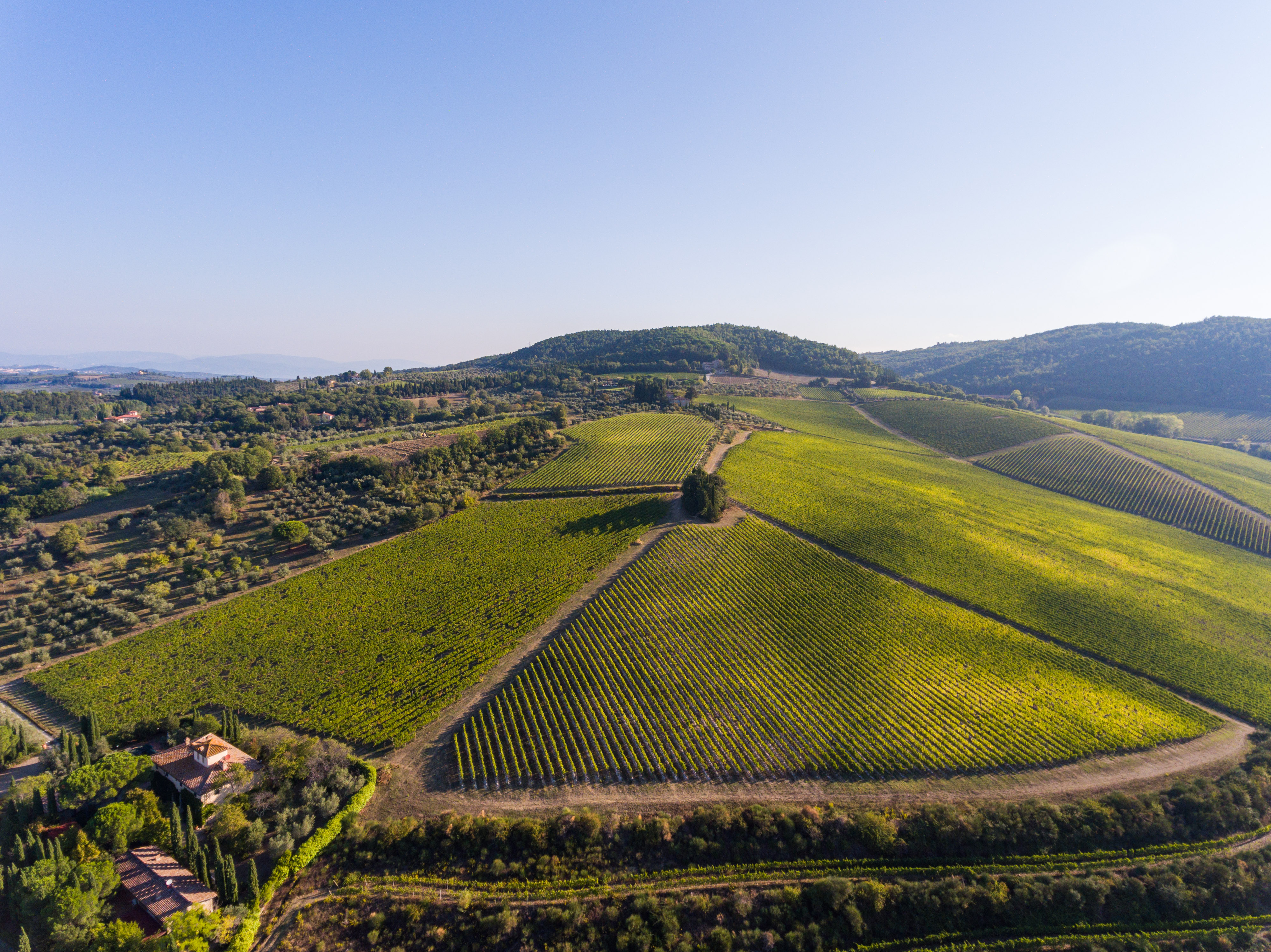 Tenuta Tignanello Image