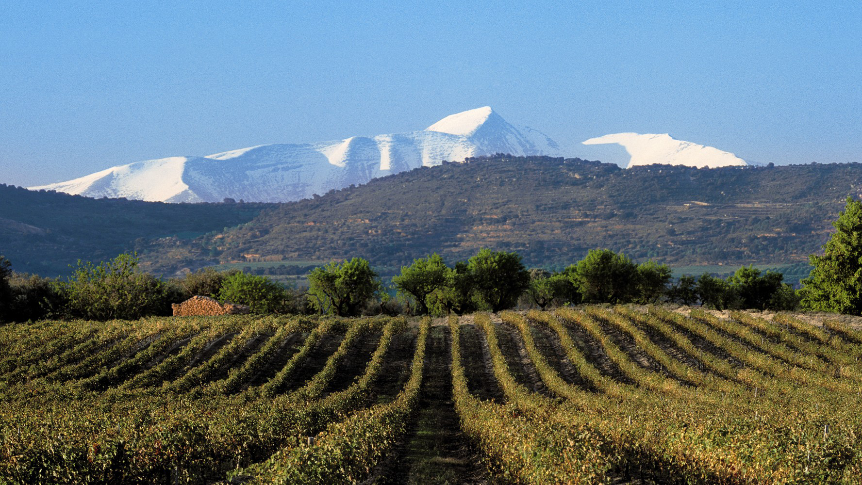 Viñas del Vero Image