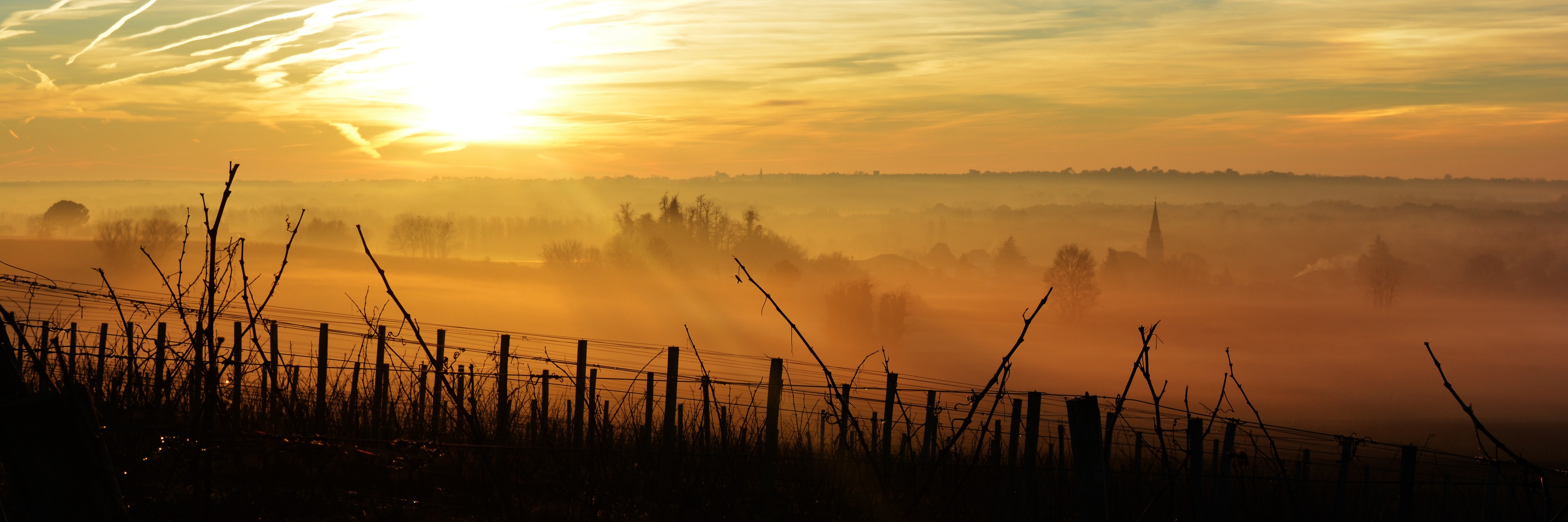 Clos l'Abeilley Sauternes Image