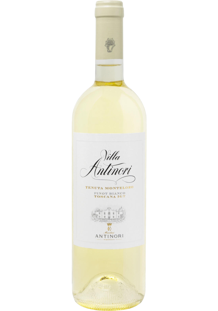 8916011-Antinori_villa_antinori_pinot_bianco_staand