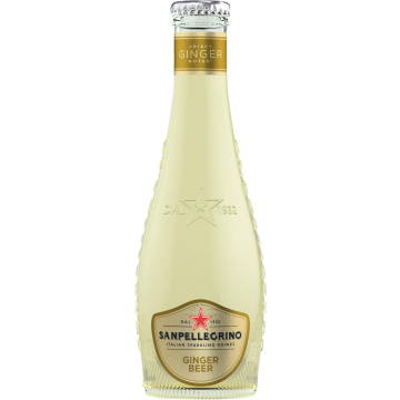 0148000_Italian_Sparkling_Drinks_Ginger_Beer_Fles - Copy