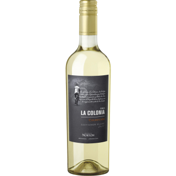 0729000_Norton_Finca_la_Colonia_Sauv_Blanc_Coleccion