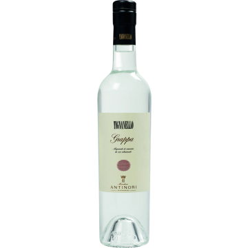 4988000_Antinori_Grappa_Tignanello